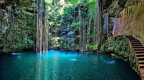 cenote ik kill